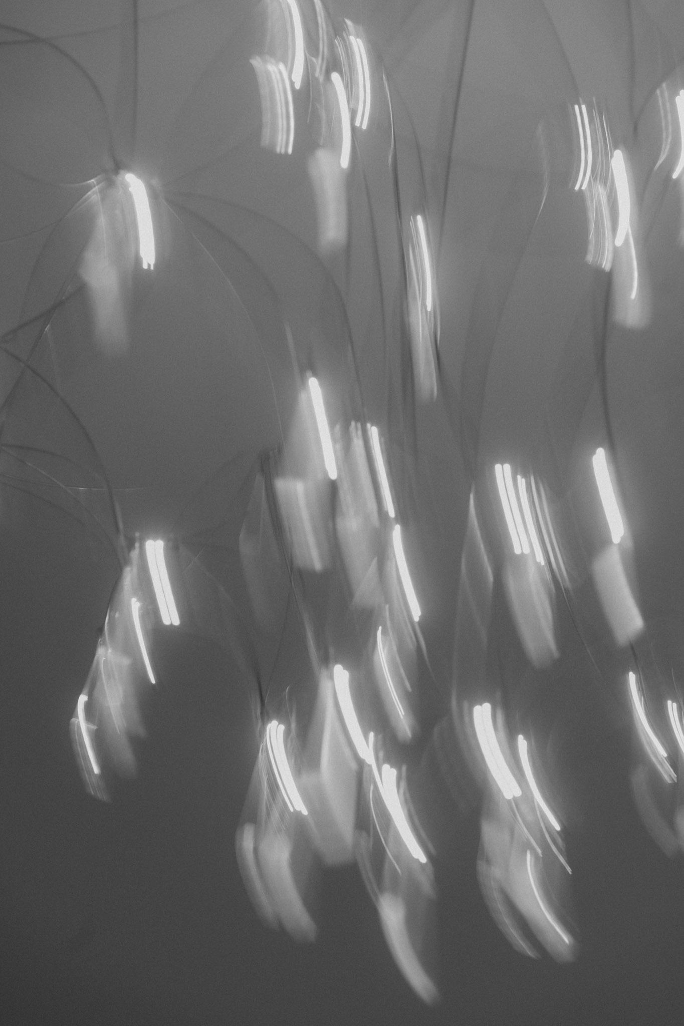 lightveils-wedding-photography-videography-romania-europe