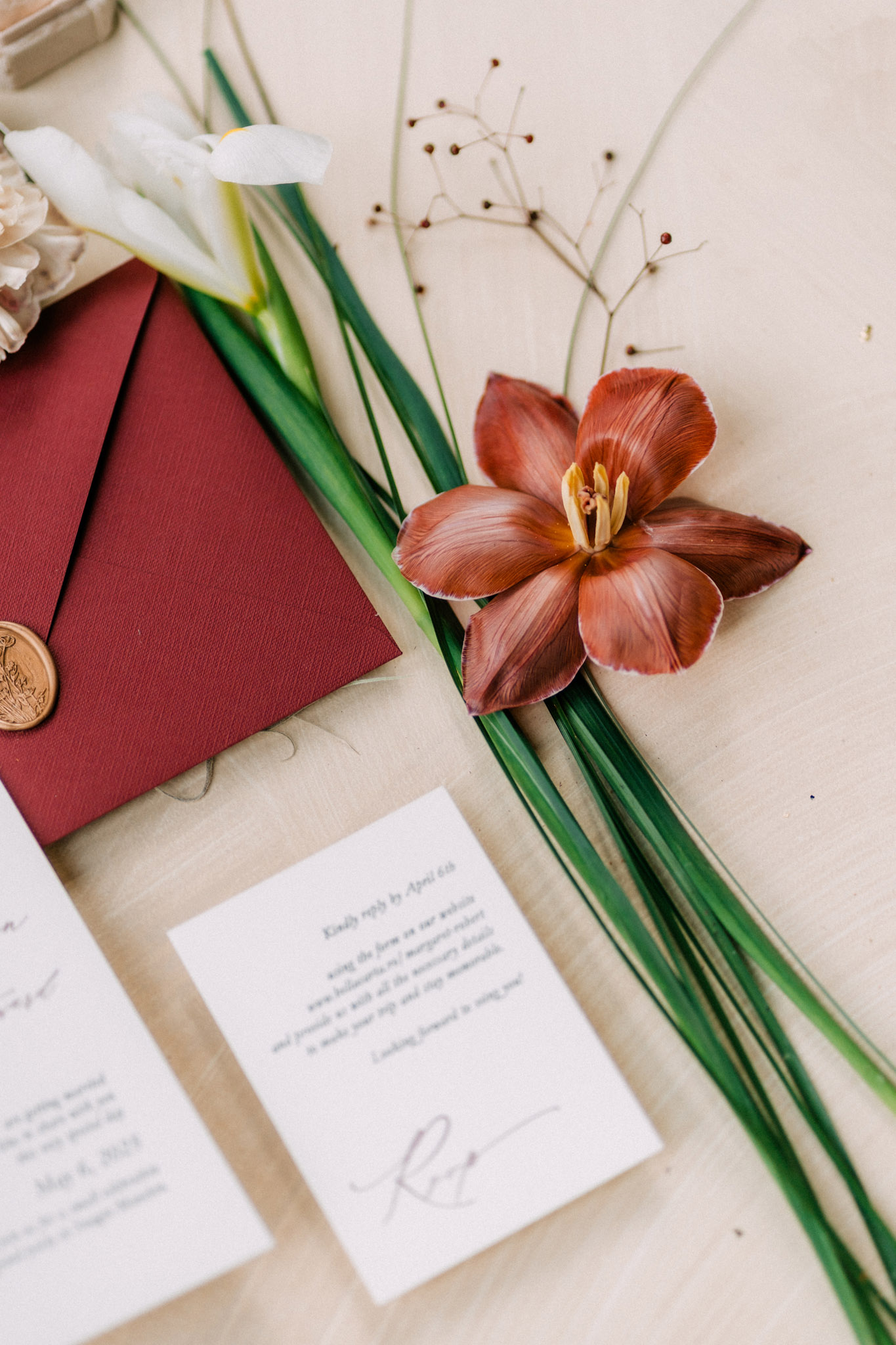 lightveils-wedding-photography-videography-romania-europe