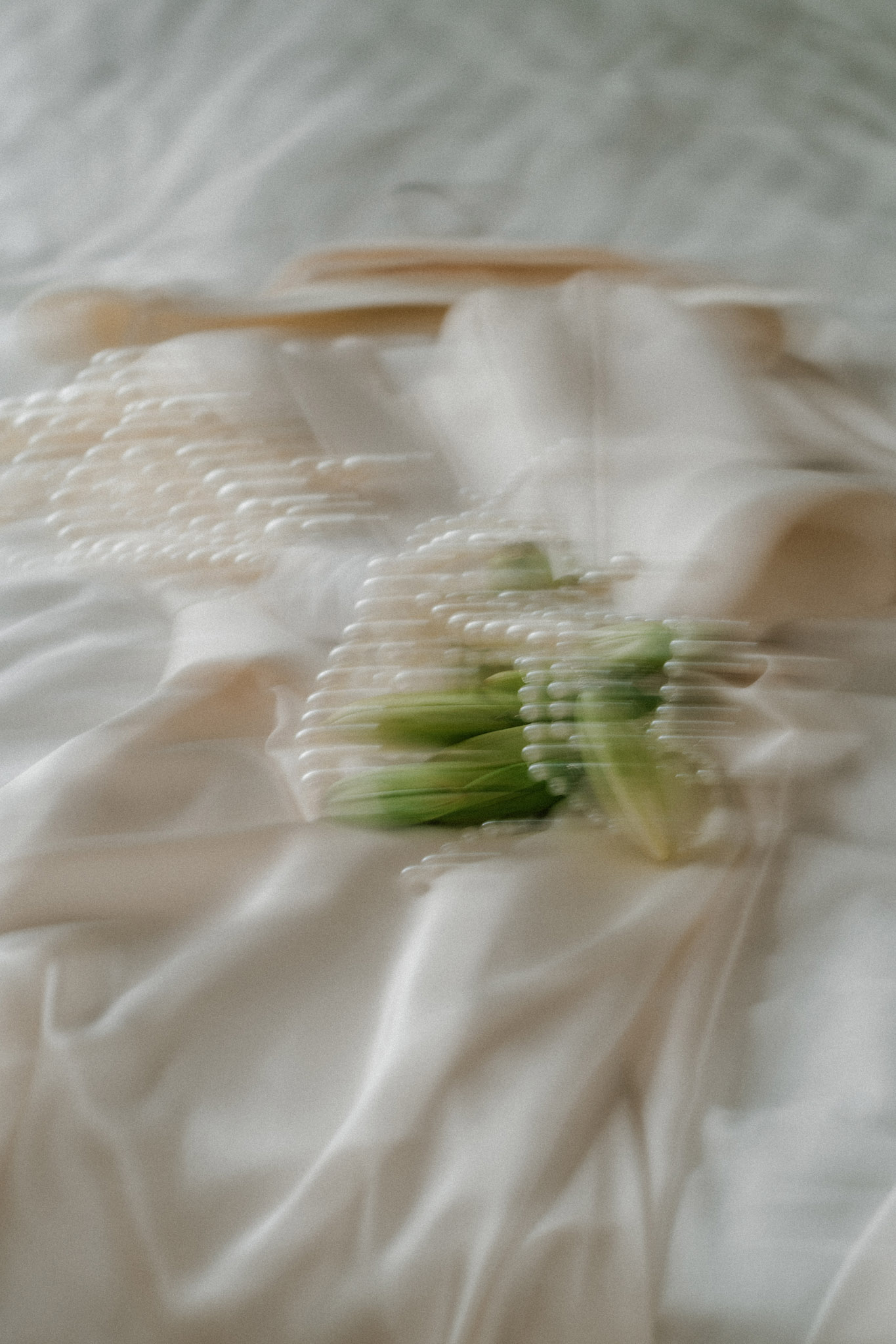 lightveils-wedding-photography-videography-romania-europe